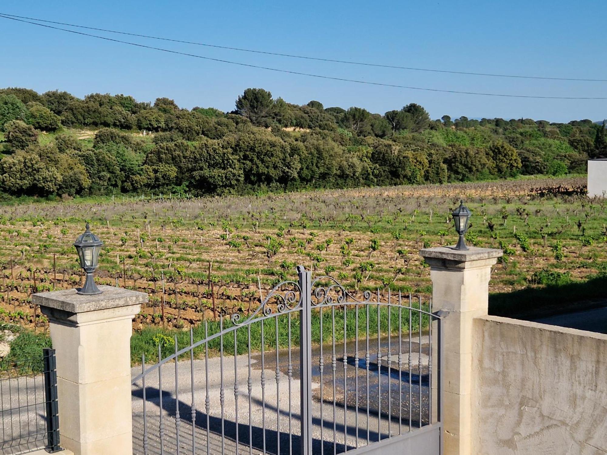Le Cabanon De Lea Apartment Tavel Bagian luar foto